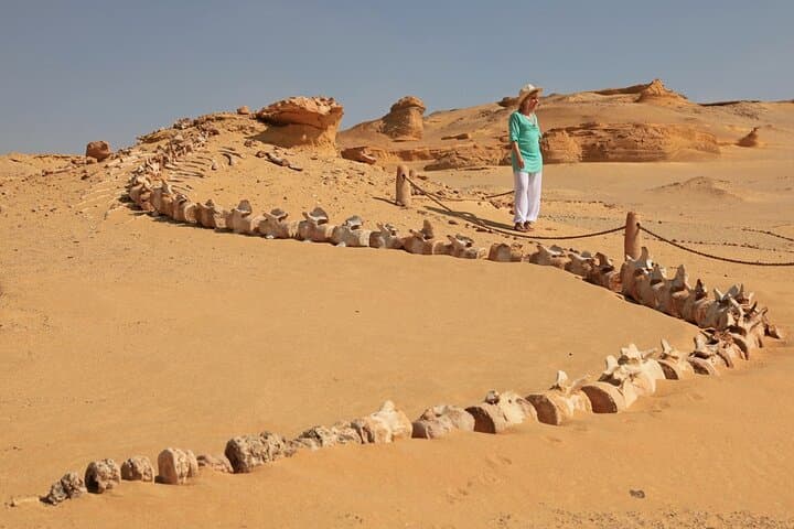 Full-Day Fayoum Oasis & Wadi El-Rayan Waterfalls Tour from Cairo photo 2