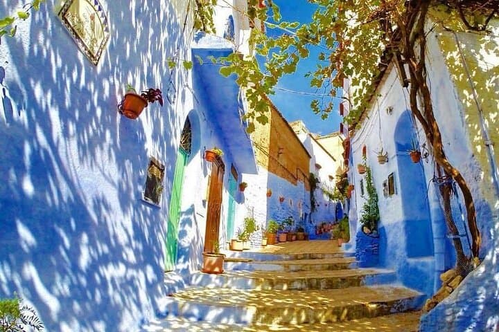 Tangier to Chefchaouen Private Day Trip — Blue City & Rif Mountains Excursion photo 4