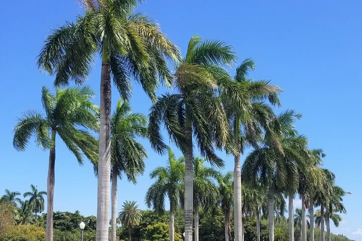 Palm Beach Day Trip from Miami: Flagler Museum, The Breakers & Billionaires' Row photo 4