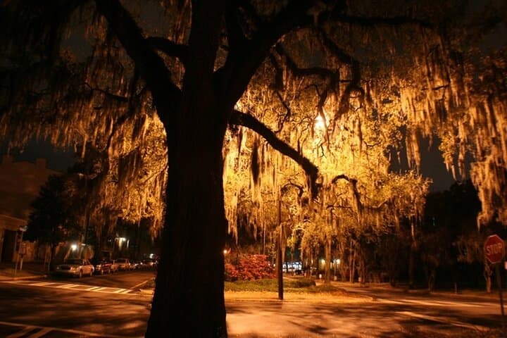 Nighttime Hemingway Walking Tour of Key West: Historic Bars & Literary Haunts photo 2