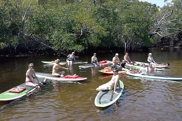 Bonnet House Mangrove Paddle: Guided SUP & Kayak Tour in Fort Lauderdale photo 4