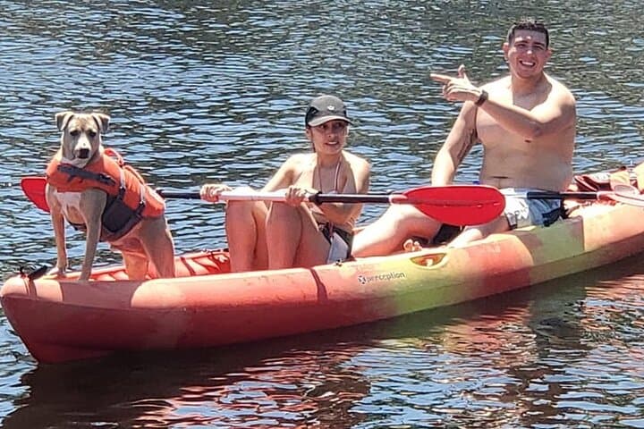 Bonnet House Mangrove Paddle: Guided SUP & Kayak Tour in Fort Lauderdale photo 3