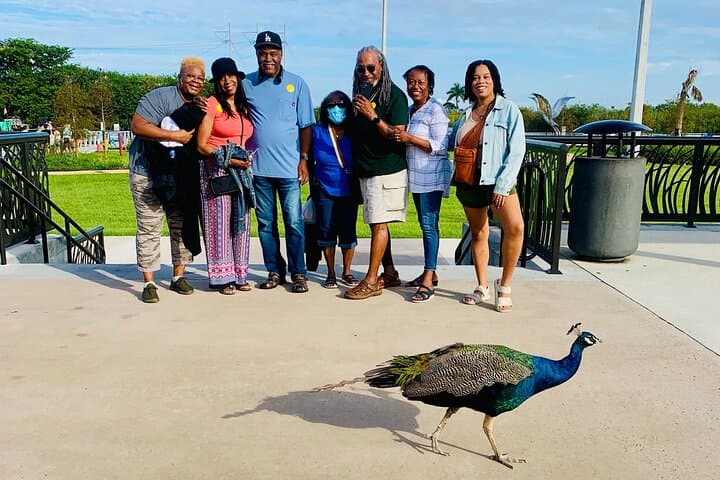 Everglades Small-Group Airboat Tour from Miami — 4–5 Hour Wildlife Experience photo 4