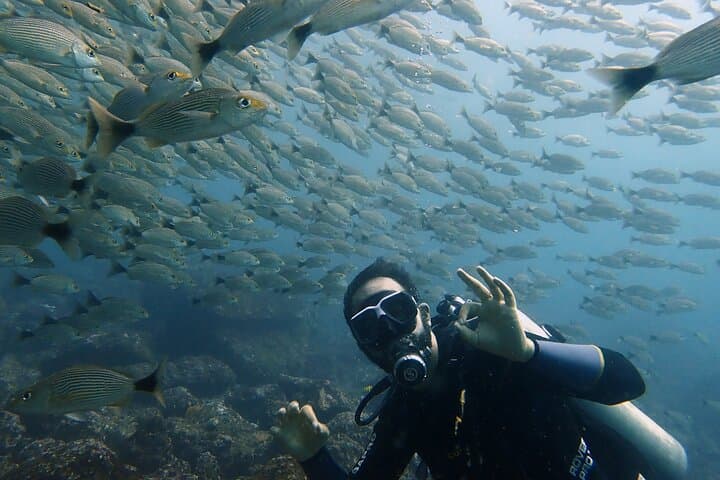 Try Scuba Diving in Tamarindo: Beginner Two-Dive Intro with Boat Transfer photo 3