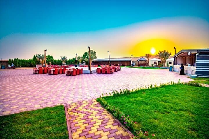 Dubai Desert Safari: 4x4 Dune Bashing, BBQ Dinner & Belly Dance Experience photo 6