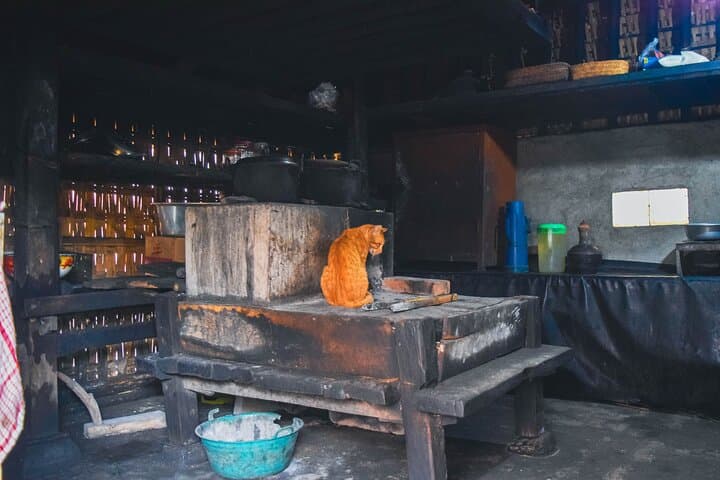 Explore Bali’s Cultural Heart: Private Heritage Tour to Penglipuran, Blahbatuh & Mount Batur photo 3