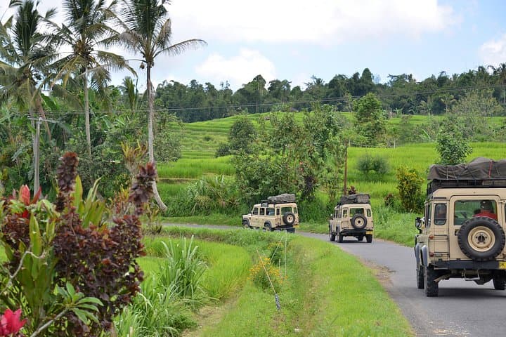 Off-Road Bali: Jatiluwih Rice Terraces & Mount Batukaru 4WD Adventure photo 1