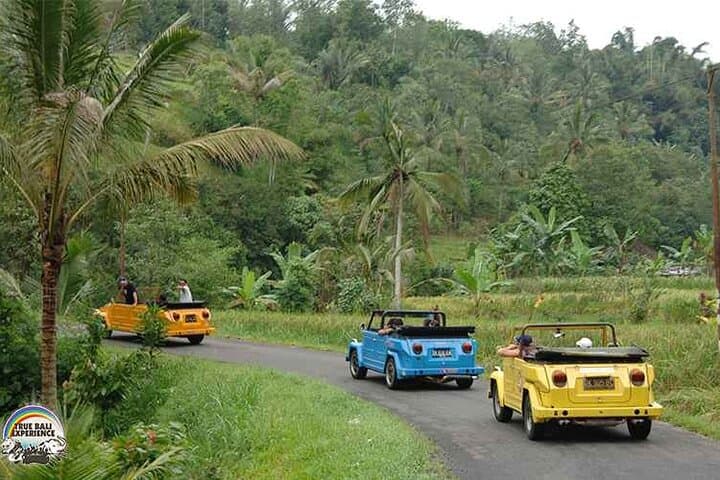 Half-Day VW Safari to Gulingan Rice Terraces & Taman Ayun (Mengwi) photo 5