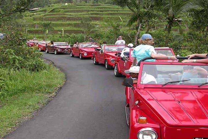 Half-Day VW Safari to Gulingan Rice Terraces & Taman Ayun (Mengwi) photo 6
