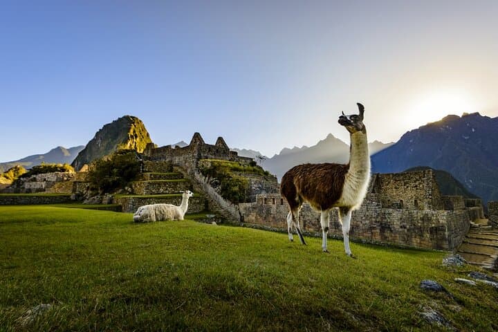 Machu Picchu Full-Day Trip from Cusco: Practical Guide, Timing, and Tips photo 2