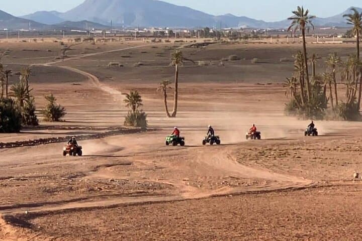 Private Quad Ride in Marrakech Palm Grove: Dunes, Berber Villages & Oasis Tea photo 2