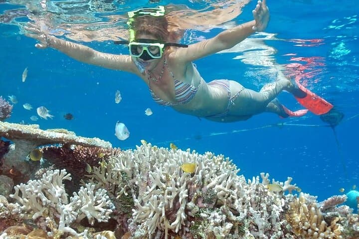 Manta Snorkel and Coastal Views: Full-Day Nusa Penida Tour photo 1