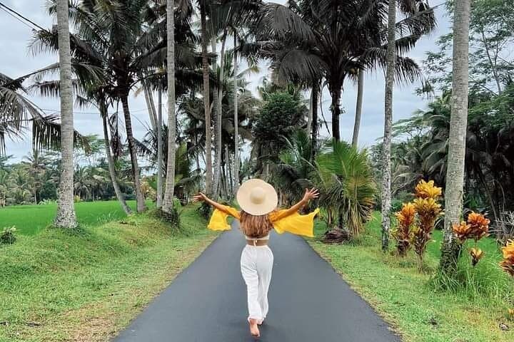 Ubud culture, rice terraces & waterfall day tour — monkey forest to Tirta Empul photo 2