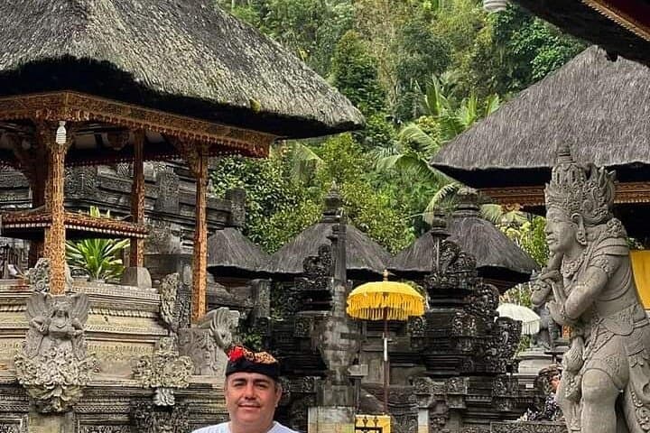 Ubud culture, rice terraces & waterfall day tour — monkey forest to Tirta Empul photo 3