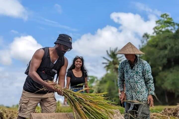 Ubud culture, rice terraces & waterfall day tour — monkey forest to Tirta Empul photo 4