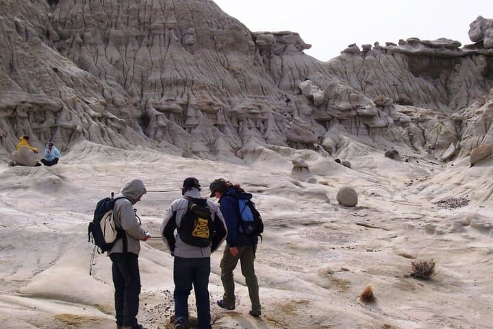 Hiking La Leona Petrified Forest: Day Tour from El Calafate photo 6