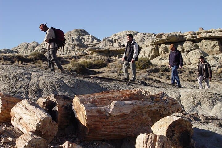 Hiking La Leona Petrified Forest: Day Tour from El Calafate photo 5
