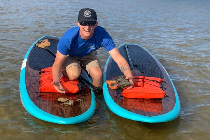 Paddle with Dolphins and Manatees — Marco Island Kayak & SUP Tour