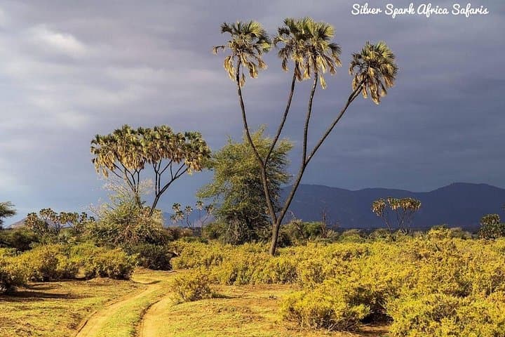 7-Day Amboseli, Lake Nakuru & Maasai Mara Safari from Nairobi photo 3