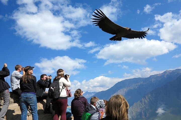 One-Day Colca Canyon: Condors, Terraces & Andean Vistas from Arequipa photo 1