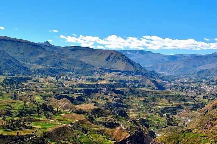One-Day Colca Canyon: Condors, Terraces & Andean Vistas from Arequipa photo 4
