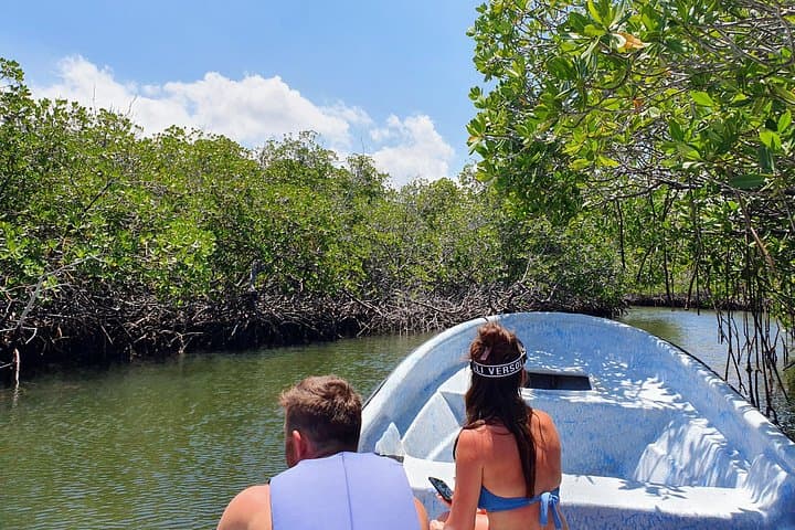 Private Paradise Island Snorkel & Manatee Sanctuary Tour from Puerto Plata photo 2
