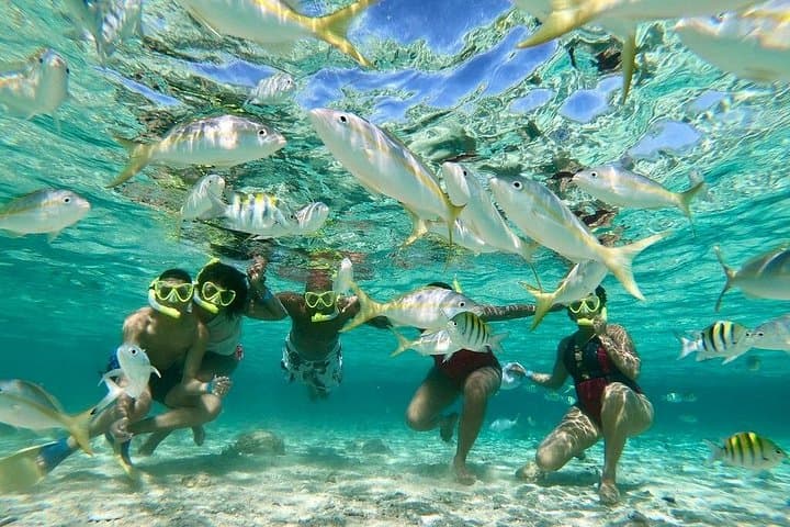 Private Paradise Island Snorkel & Manatee Sanctuary Tour from Puerto Plata photo 3
