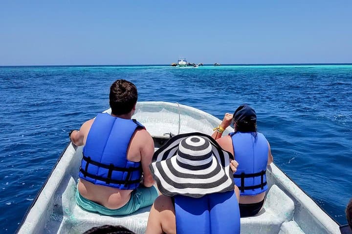 Private Paradise Island Snorkel & Manatee Sanctuary Tour from Puerto Plata photo 5