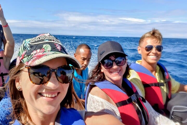Paradise Island Speedboat & Manatee Sanctuary Full-Day from Puerto Plata photo 4