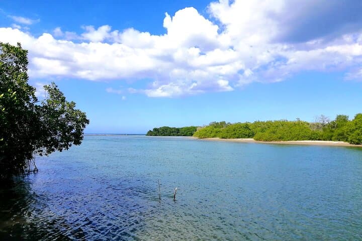 Paradise Island Speedboat & Manatee Sanctuary Full-Day from Puerto Plata photo 2