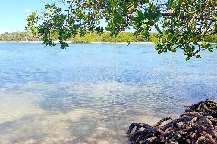 Paradise Island Speedboat & Manatee Sanctuary Full-Day from Puerto Plata photo 3