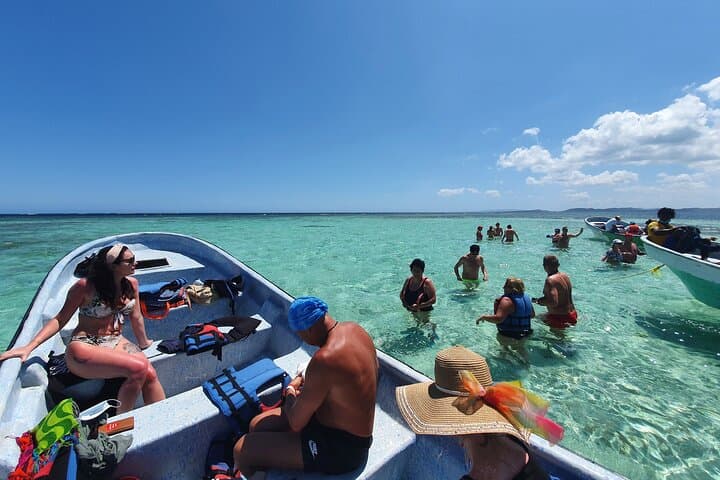 Paradise Island Speedboat & Manatee Sanctuary Full-Day from Puerto Plata photo 5