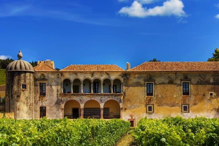 Private Luxury Arrábida Wine Tour and Bacalhôa Palace Experience photo 5