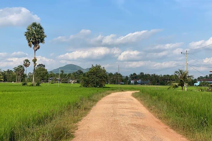 Kampot Scooter Loop: Full-Day Pepper Farm & Coastal Countryside Ride photo 4