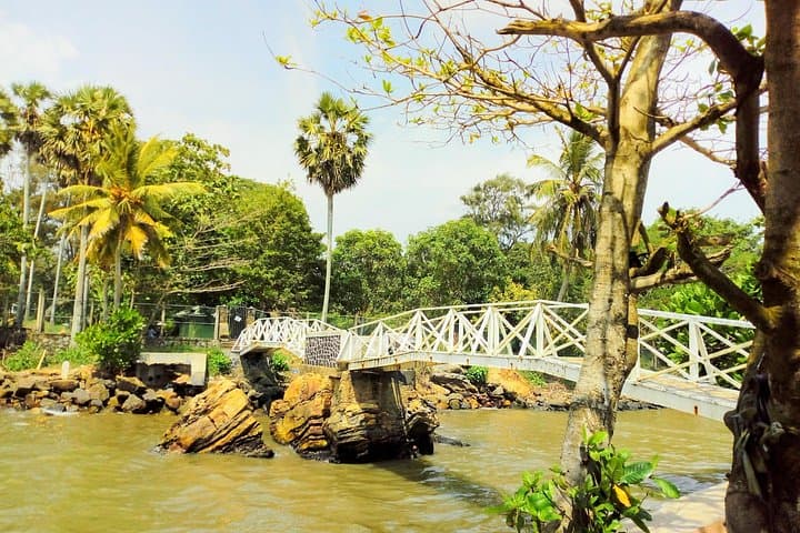 4-Day Private Sri Lanka Highlights: Galle Fort, Udawalawe Safari, Ella & Kandy photo 3