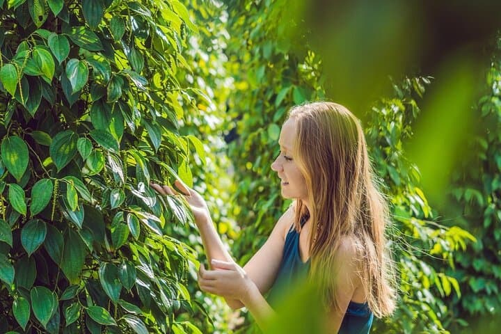 Kampot Scooter Loop: Full-Day Pepper Farm & Coastal Countryside Ride