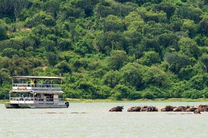 3-Day Gorilla Trekking Safari in Uganda — Bwindi & Lake Bunyonyi photo 2