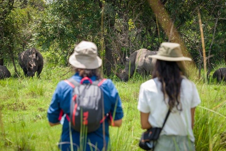 3-Day Gorilla Trekking Safari in Uganda — Bwindi & Lake Bunyonyi photo 4