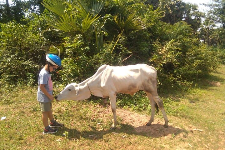 Cycle Cambodia Rice Fields & Rural Villages Tour from Siem Reap photo 6