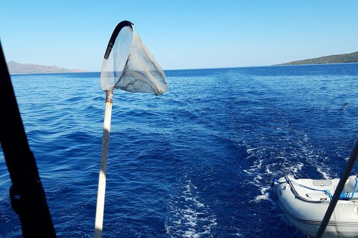 All-Inclusive Athens Private Day Cruise to Aponissos with BBQ & SUP photo 3