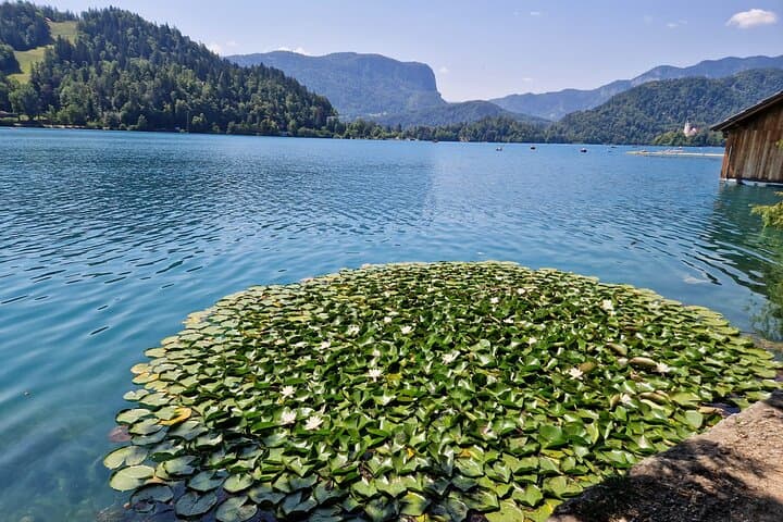 Bled Lake & Ljubljana Day Trip from Zagreb — Boats, Castles and Riverfront Strolls photo 6