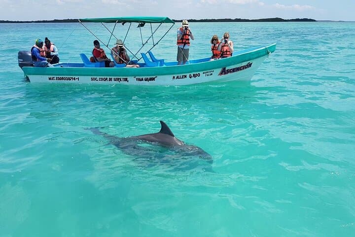 Sian Ka'an Experience: Boat, Snorkel & Wildlife from Cancun and Playa del Carmen photo 6