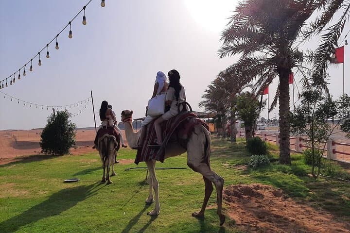 Morning Desert Safari in Lahbab: Red Dune Sandboarding, Camel Ride & Dune Bashing from Dubai photo 5