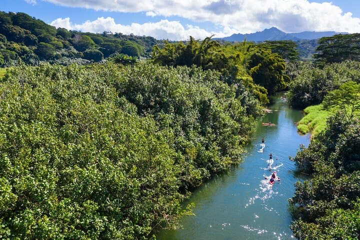 Palomino River Paddle Board Adventure at Caracoli — 45-Min SUP Experience photo 3