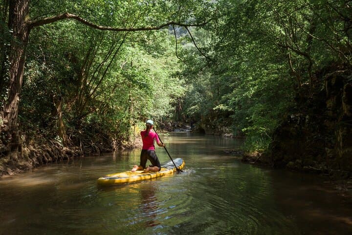 Palomino River Paddle Board Adventure at Caracoli — 45-Min SUP Experience