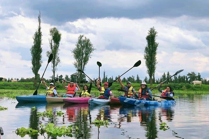 Paddle the Xochimilco Canals: Kayak Through Chinampas and Local Lunch