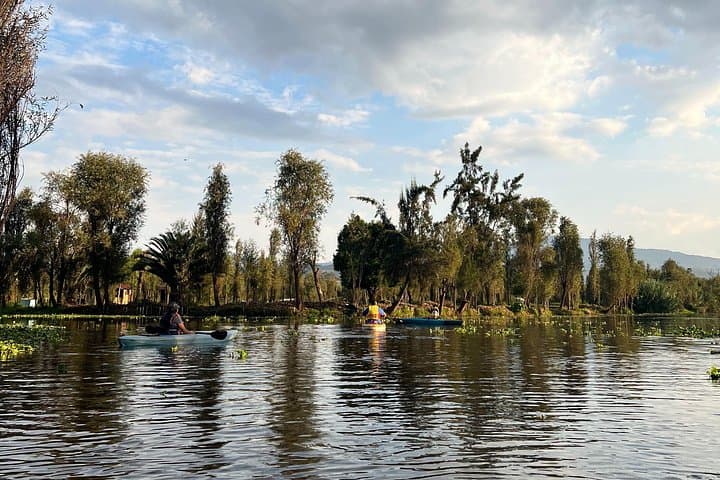 Paddle the Xochimilco Canals: Kayak Through Chinampas and Local Lunch photo 6