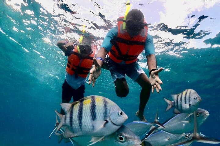 Cozumel Clear Boat Snorkel Day Trip from Cancun — Ferry, Reefs & Lunch