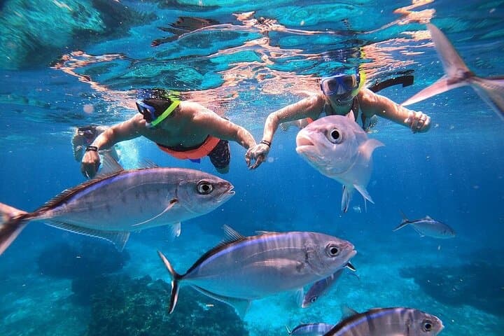 Cozumel Clear Boat Snorkel Day Trip from Cancun — Ferry, Reefs & Lunch photo 5