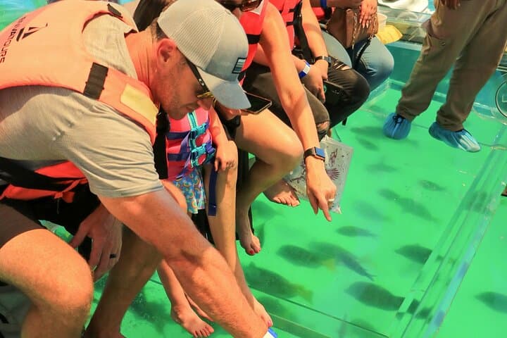 Cozumel Clear Boat Snorkel Day Trip from Cancun — Ferry, Reefs & Lunch photo 6